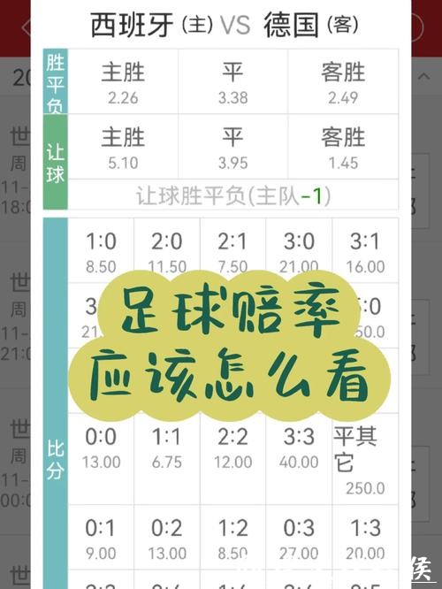 世界杯竞猜平台的赛事赔率研究方法